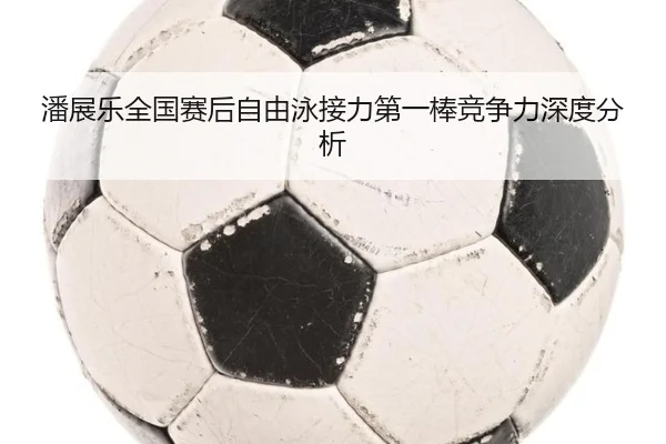 pan-zhan-le-quan-guo-sai-hou-zi-you-yong-jie-li-di-yi-bang-jing-zheng-li-shen-du-fen-xi-2-616.jpg